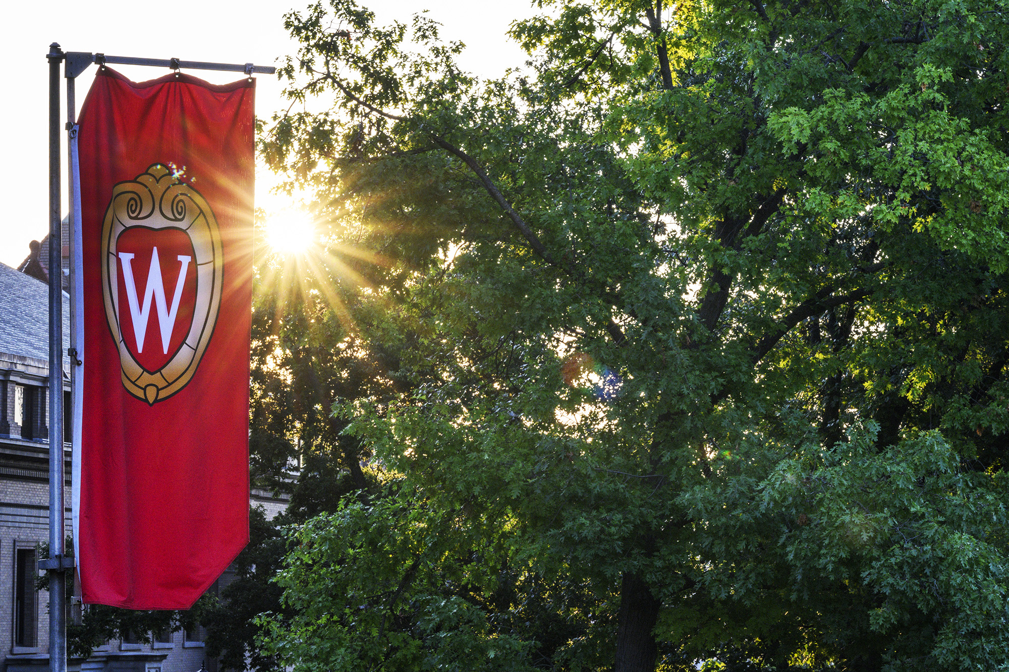 Outdoor, red banner with UW–Madison crest logo illuminated by the sun.