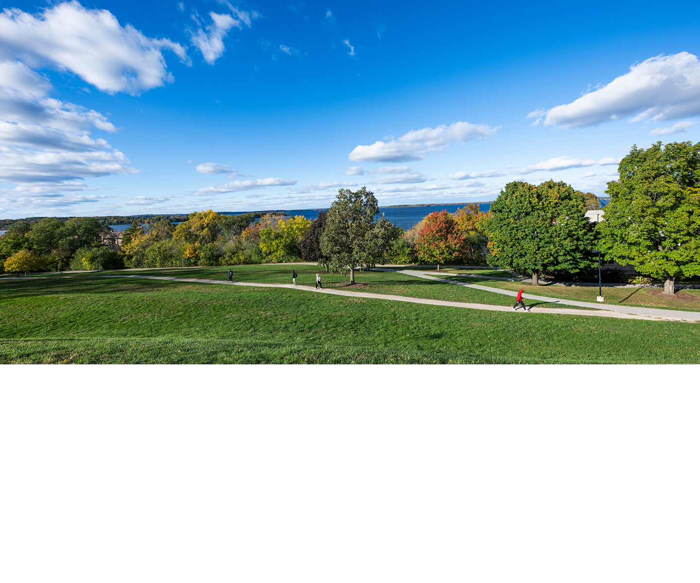 View from a hill of trees and grass with a lake in the background.